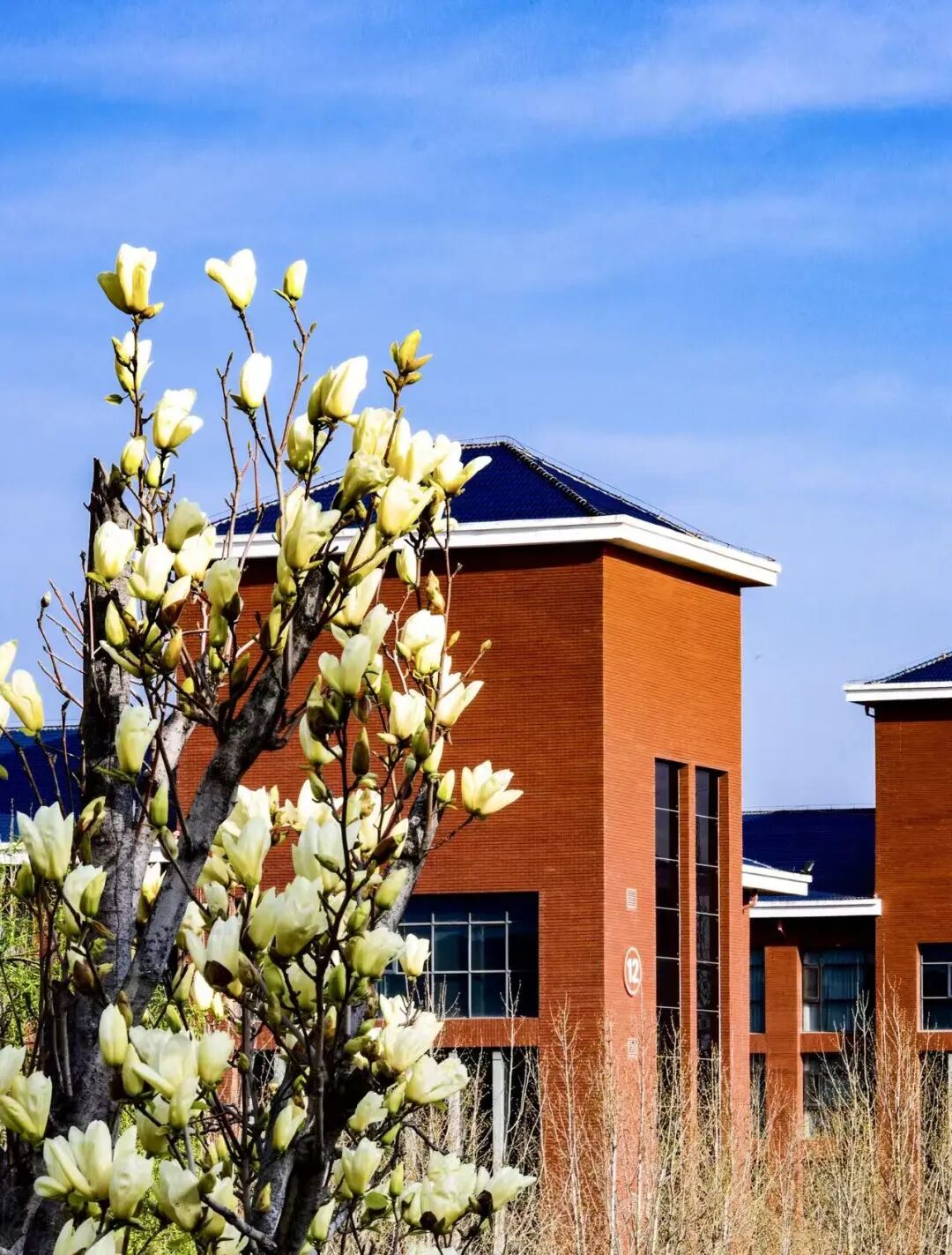 河南红旗渠干部学院开展“书香浸润初心·研学赋能履职”读书交流活动